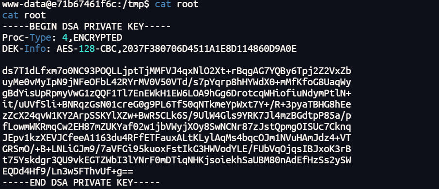 image-20250523230130463