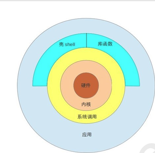 image-20241119120331509