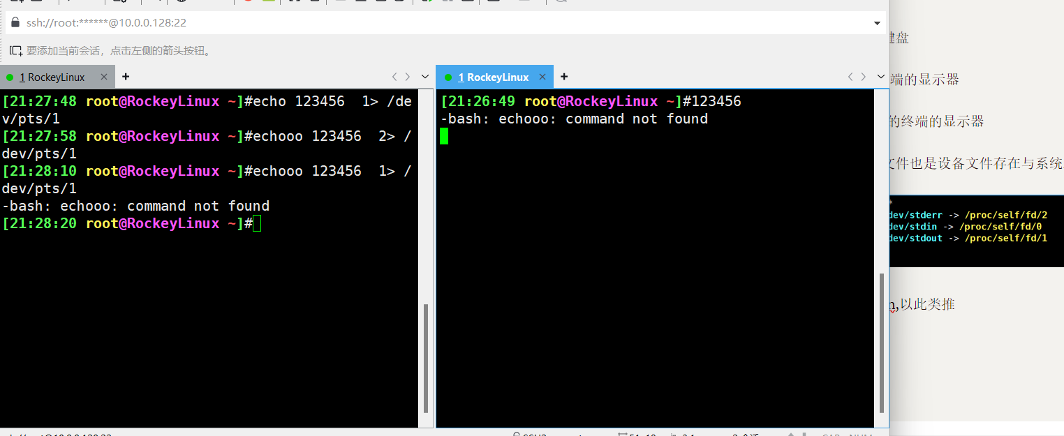 image-20241118212846044