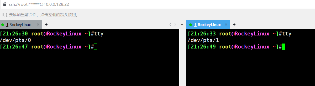 image-20241118212654258