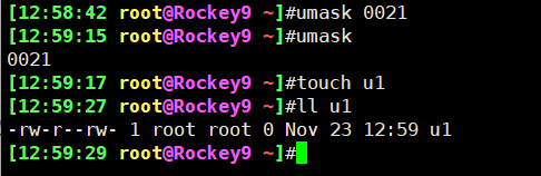 image-20241123125948858