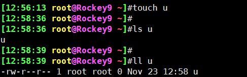 image-20241123125859292