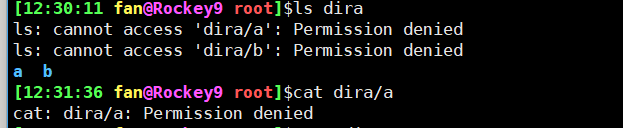 image-20241123123341847