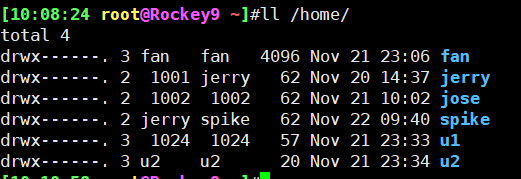 image-20241122101108384