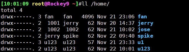 image-20241122100434063