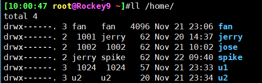 image-20241122100222798