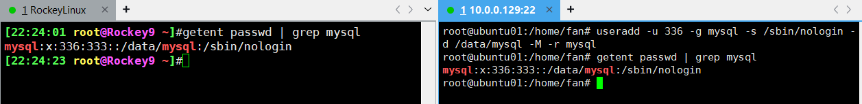 image-20241121223737280