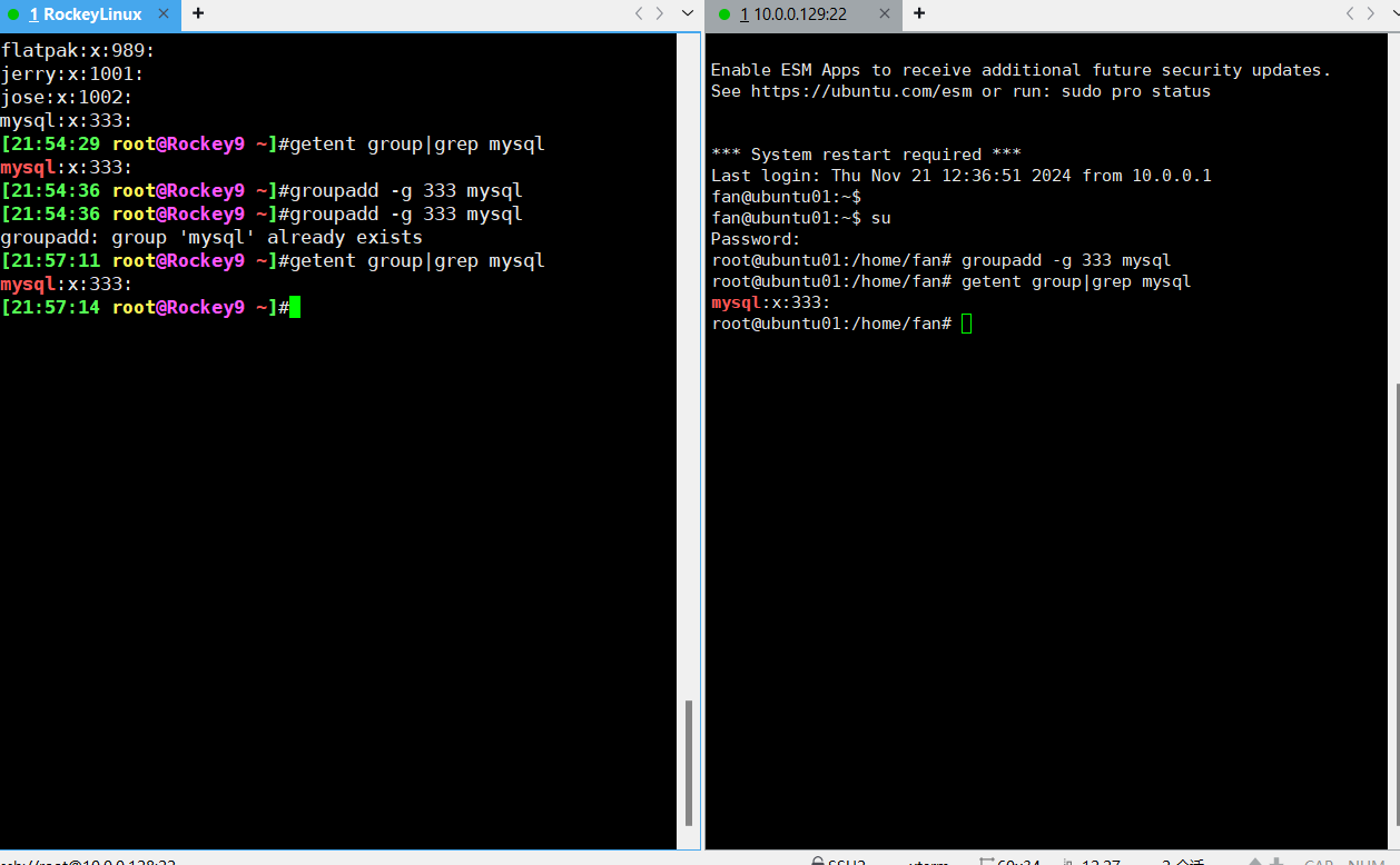 image-20241121221310767