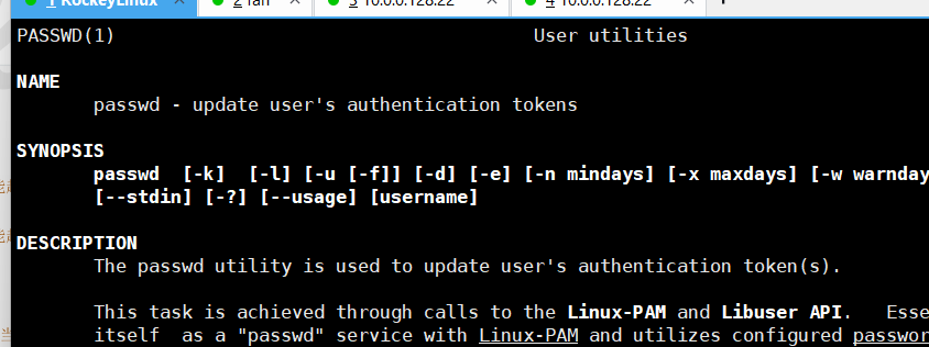 image-20241123224923387