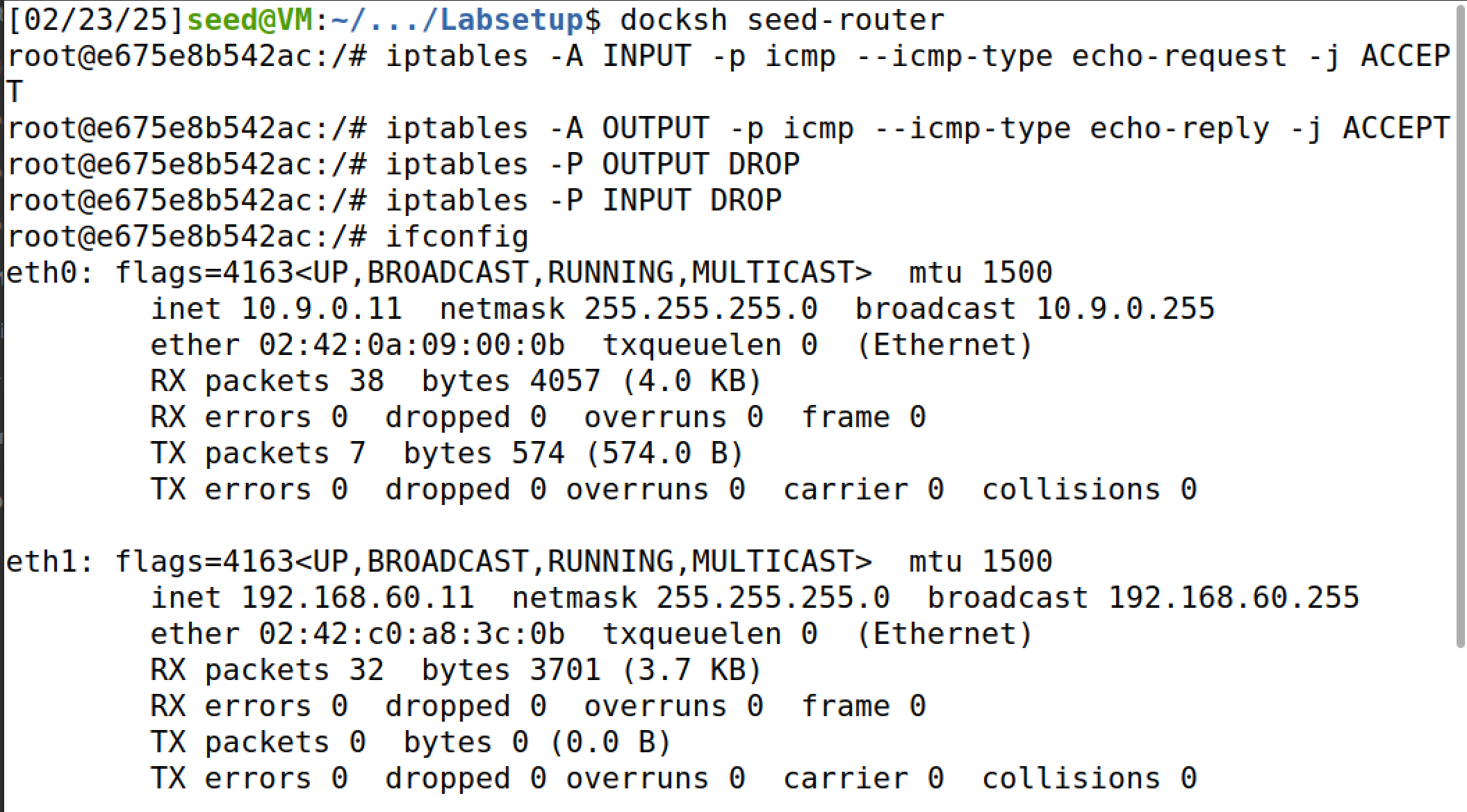 image-20250223231813726