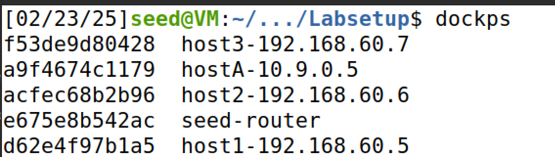 image-20250223232223699