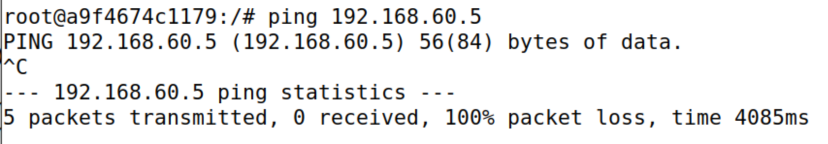 image-20250223233112526