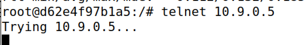 image-20250223233154704