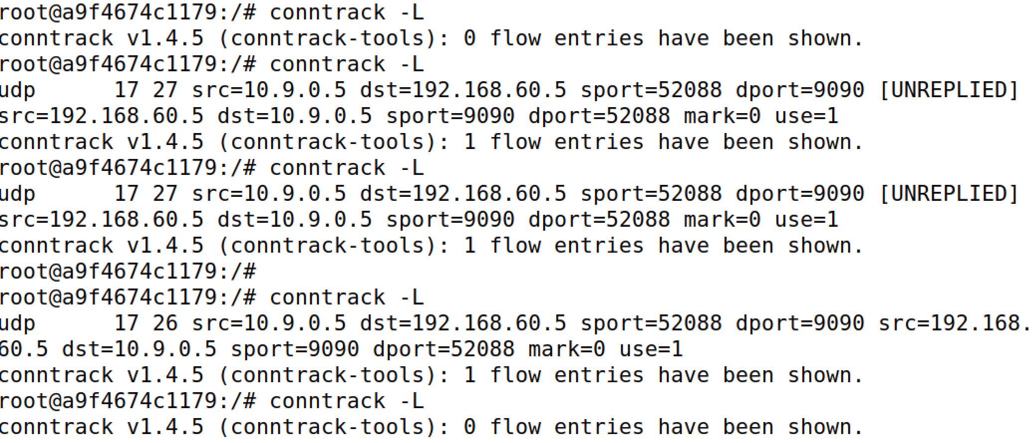 image-20250223234854527