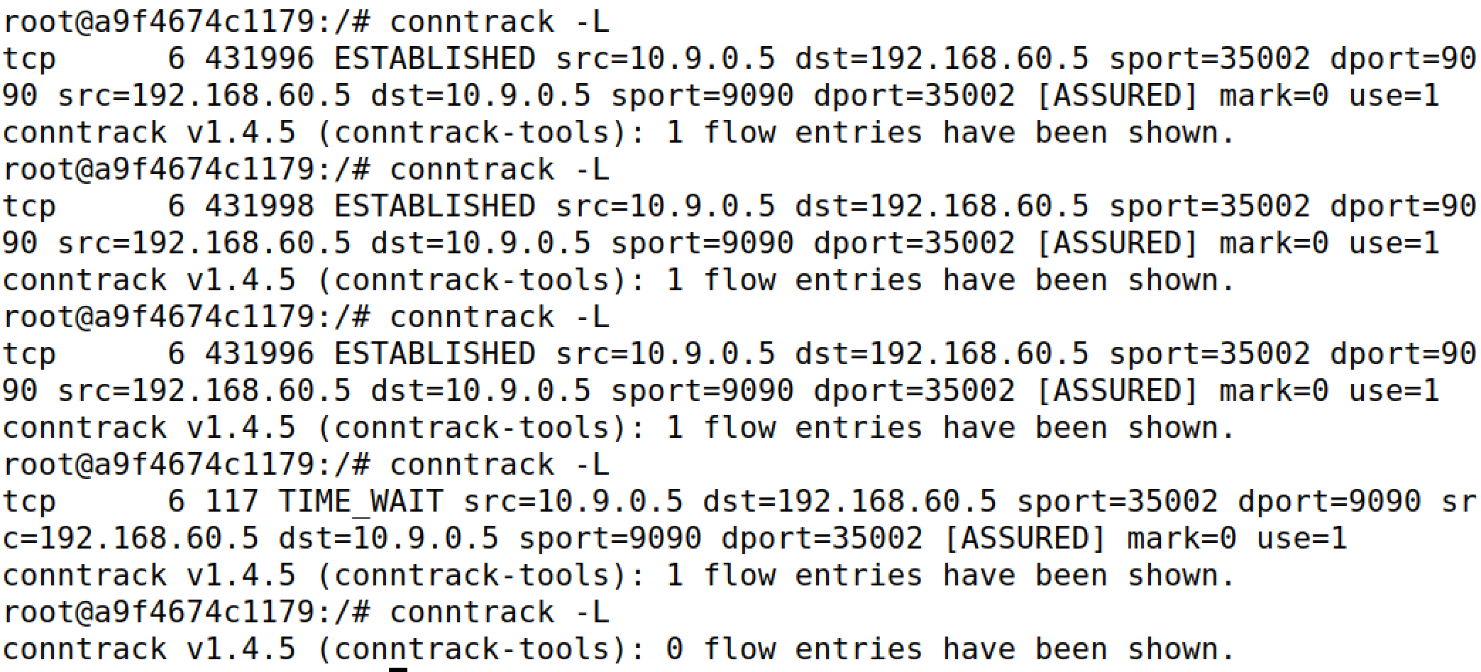 image-20250224001030912