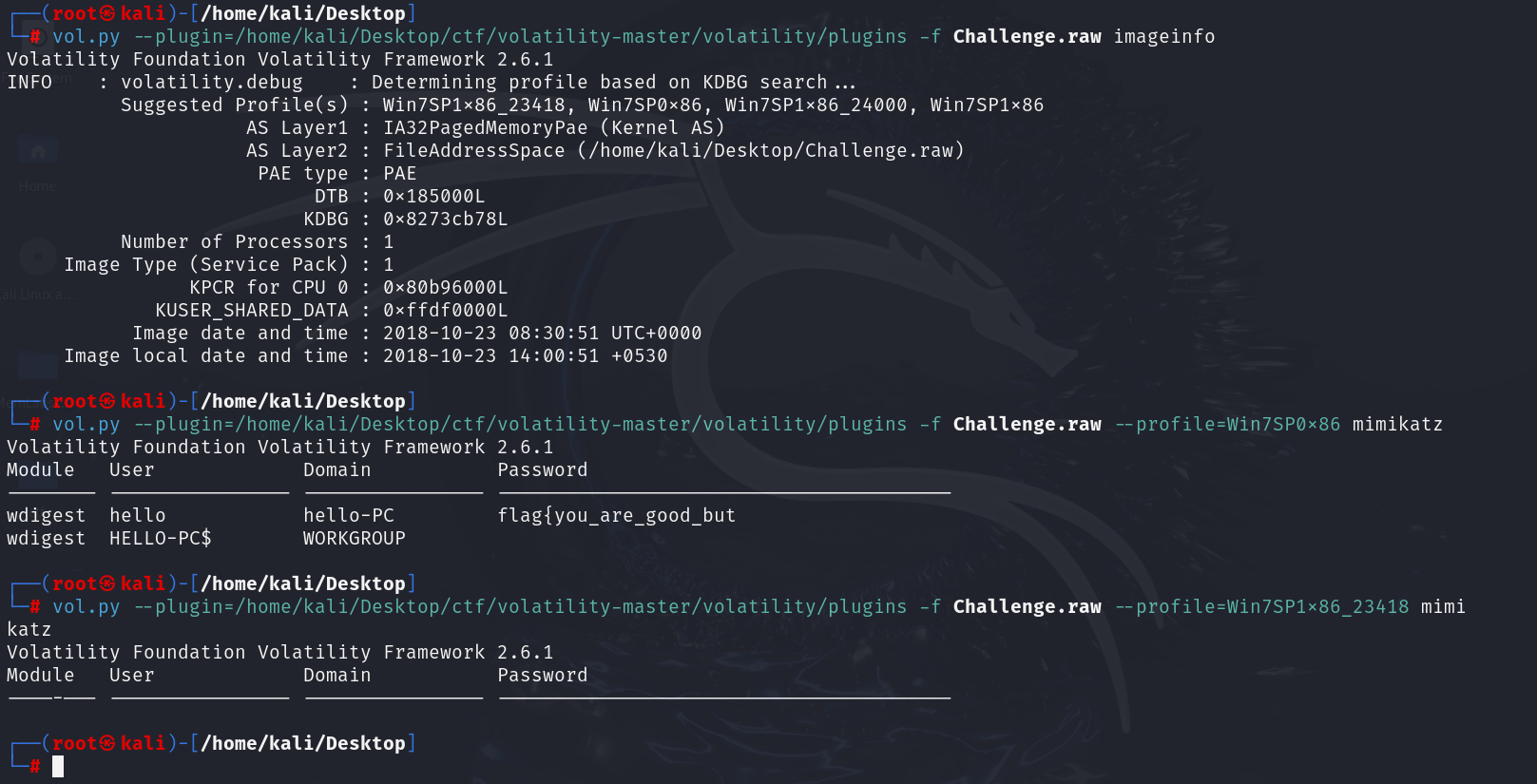 image-20241216204934871