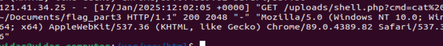 image-20250211012510416