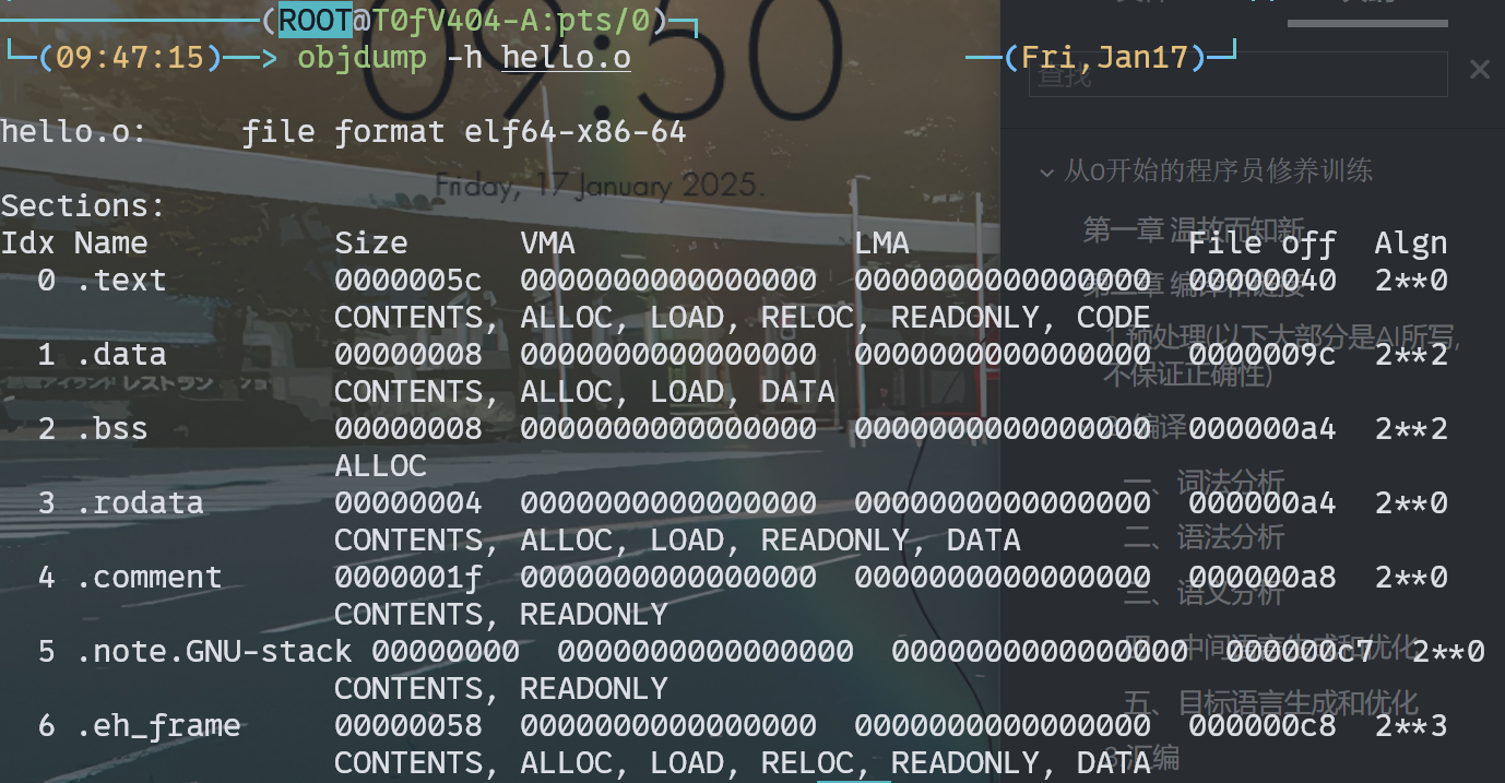 image-20250117095124736