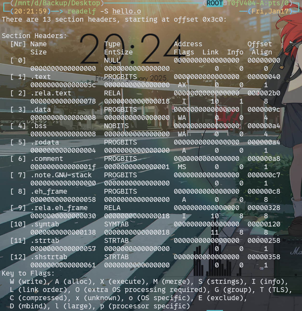 image-20250117202502760