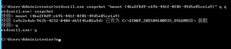 image-20250410092730554