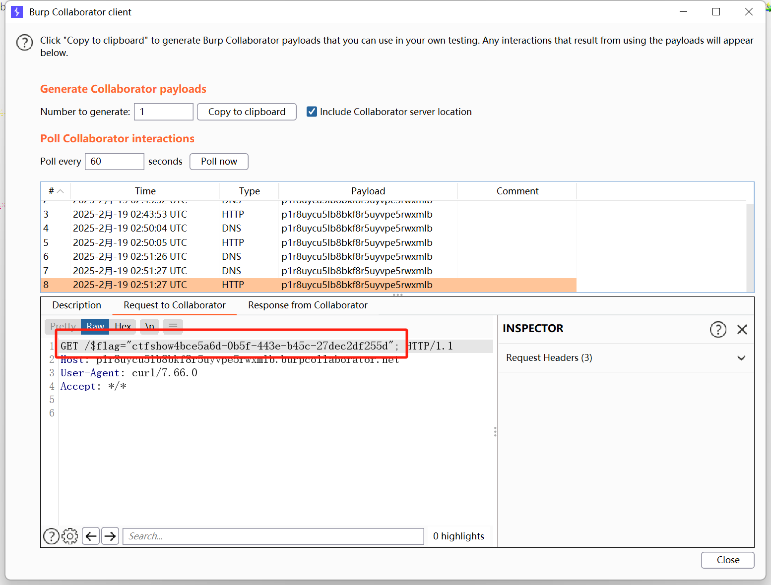 image-20250219105145559