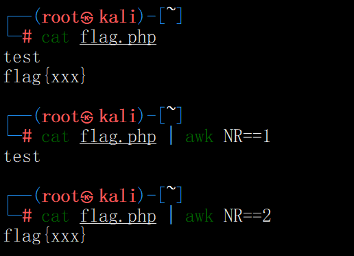 image-20250222223458440