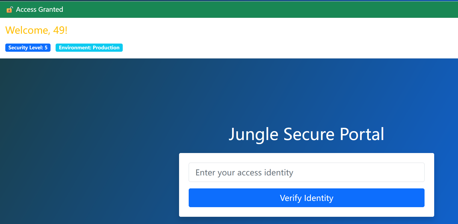 image-20250409175222208