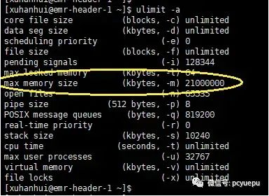 image-20230714102200374