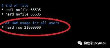 image-20230714102025147