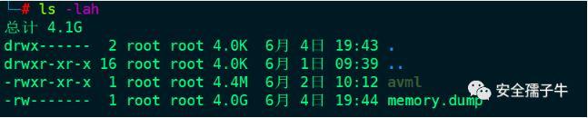 image-20230720092903240