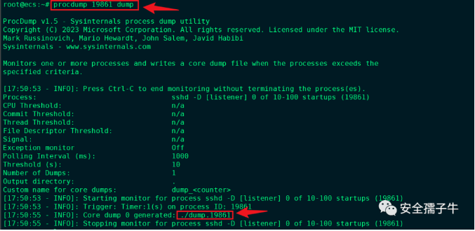 image-20230720092548894