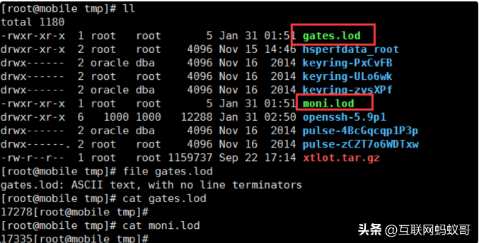 image-20230725213915649