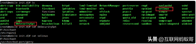 image-20230725213737792