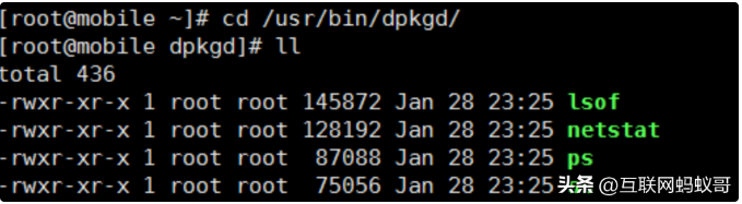 image-20230725213602591