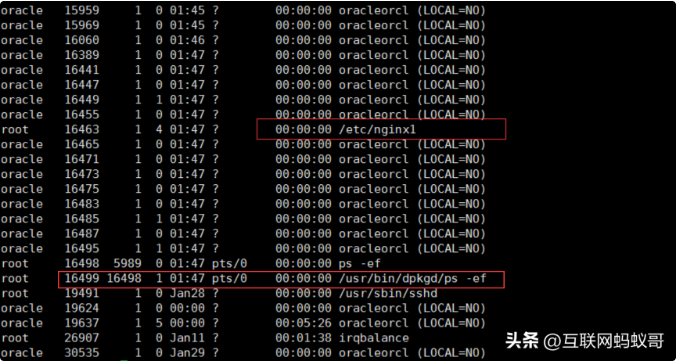 image-20230725213530561