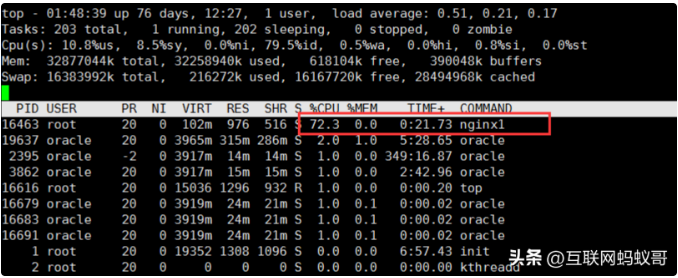 image-20230725213436427