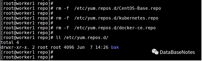 image-20230801100412924