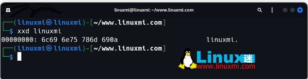 image-20230807103120233