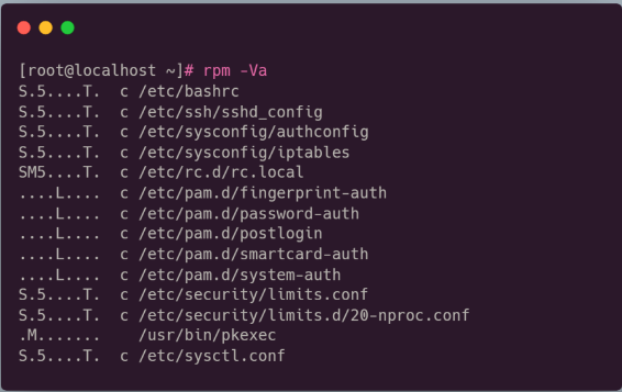 image-20230807170750687