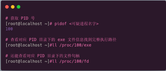 image-20230807170704424