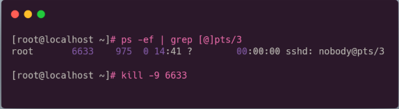 image-20230807170639422