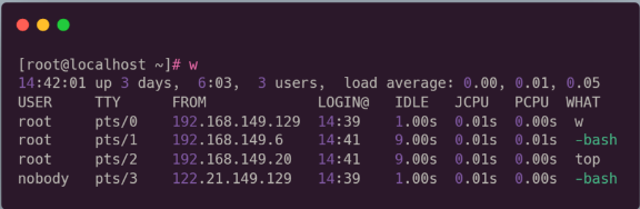 image-20230807170551031