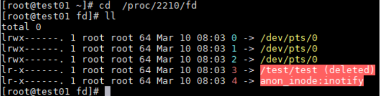 image-20230812175700275