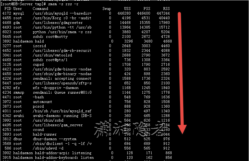 image-20230816142257756