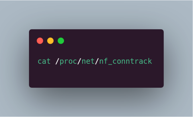 image-20230818085642113