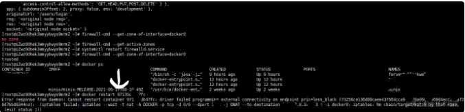 image-20230818094309625