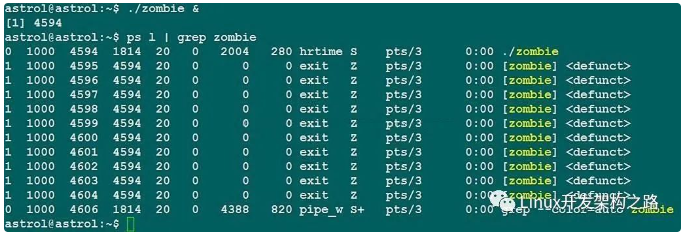 image-20230818142441375