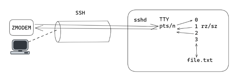 image-20230819093056369