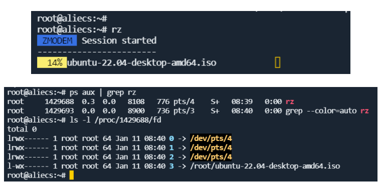 image-20230819093033977